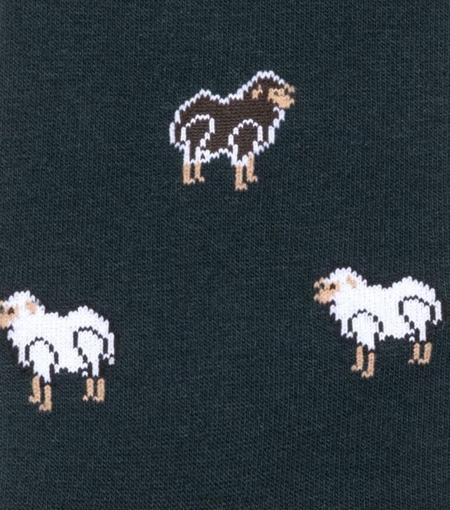 Florsheim للجنسين جوارب ستانلي طاقم اللباس 6B6H567 متعدد الأخضر مُكَمِّلات