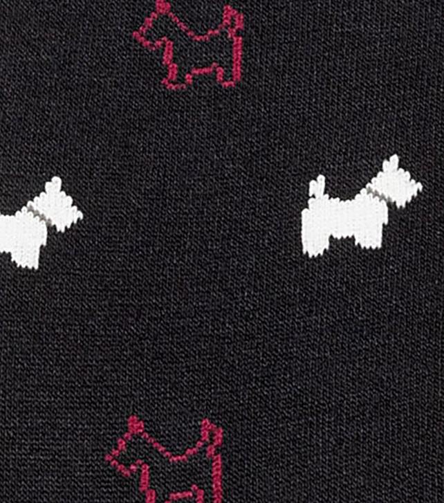 Florsheim للجنسين الجوارب سكوتي طاقم اللباس 6B6H588 أسود مُكَمِّلات